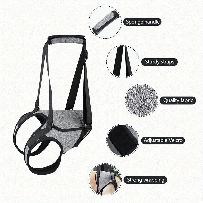 Grey neoprene dog rear leg recovery support belt showing adjustable waist design