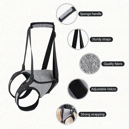 Grey neoprene dog rear leg recovery support belt showing adjustable waist design