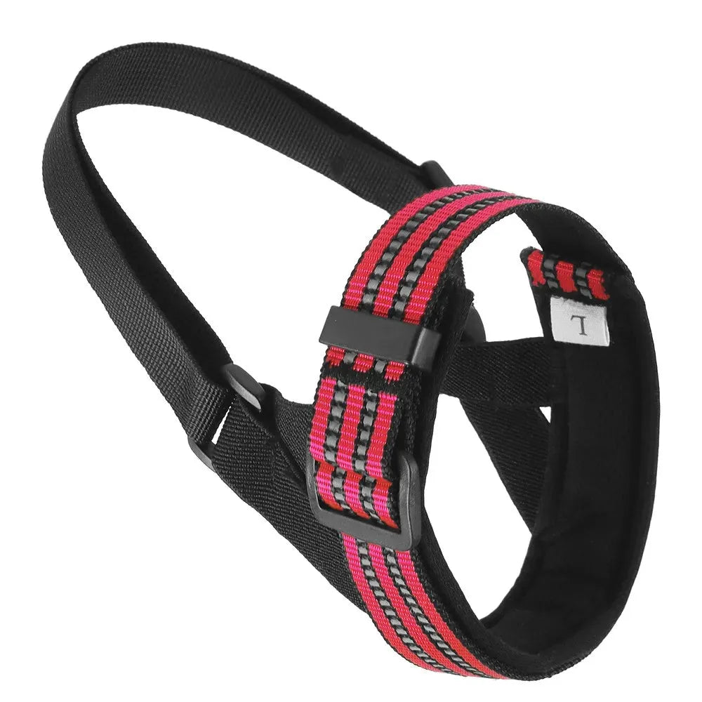 Adjustable black basket dog muzzle with reflective strips on a medium-sized dog