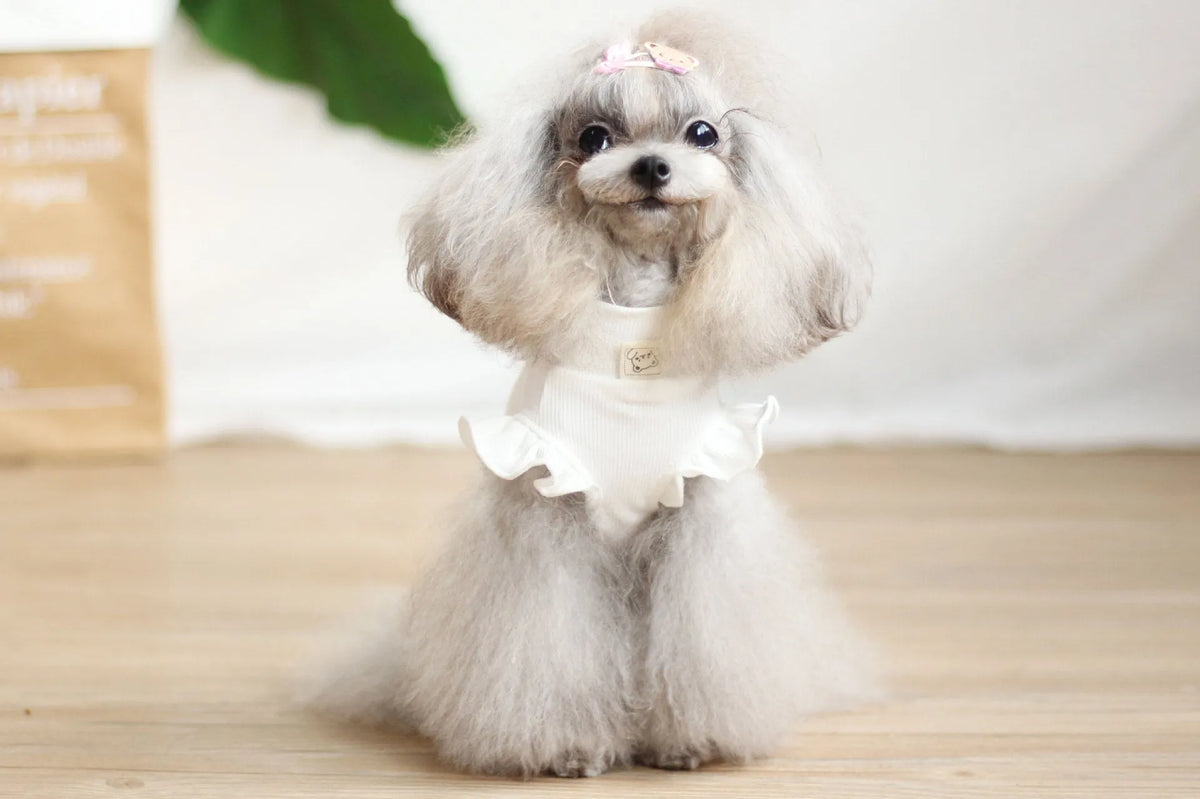 Cotton cartoon dog dress with suspender skirt in brown or white, sizes XXS to XL for small dogs