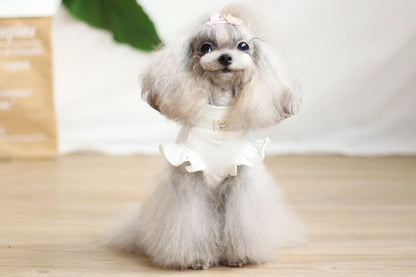 Cotton cartoon dog dress with suspender skirt in brown or white, sizes XXS to XL for small dogs