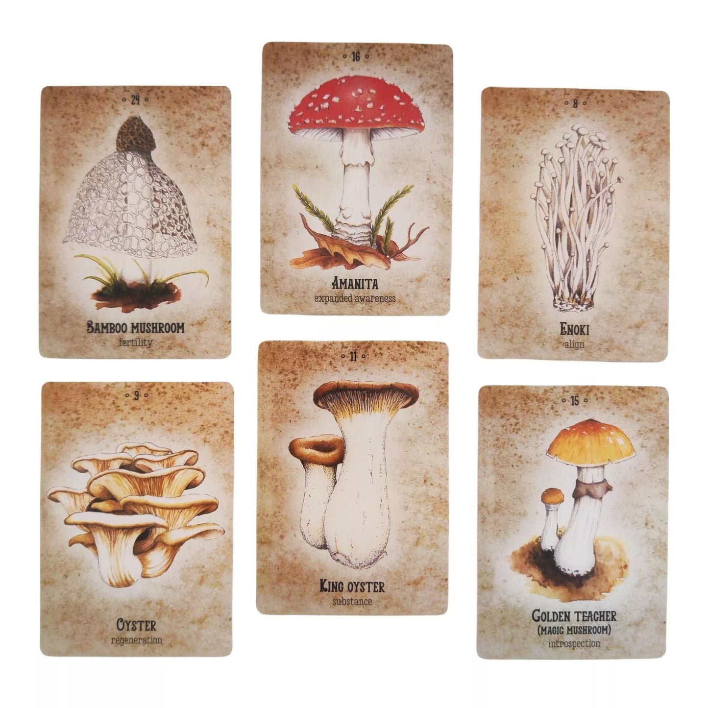 Mushroom Spirit Oracle Card Game for cognitive development and fun