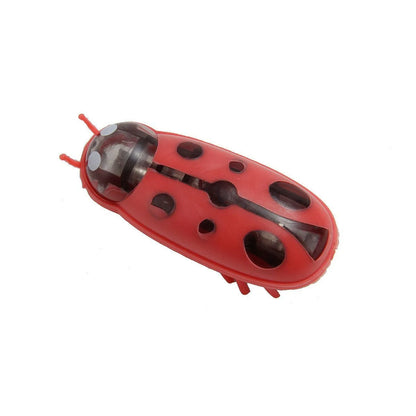 Electric jumping insect cat teaser toy measuring 4.5cm with six colour variations in plastic construction