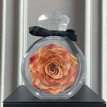 Preserved floral ornaments in various colors, displayed in a transparent cover for elegant home decor