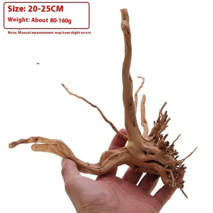 Xiaoqi root natural wood aquarium ornament resembling azalea root with branching texture