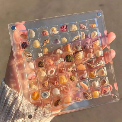 Acrylic magnetic seashell and jewelry organizer box with 36 or 64 grids for versatile storage