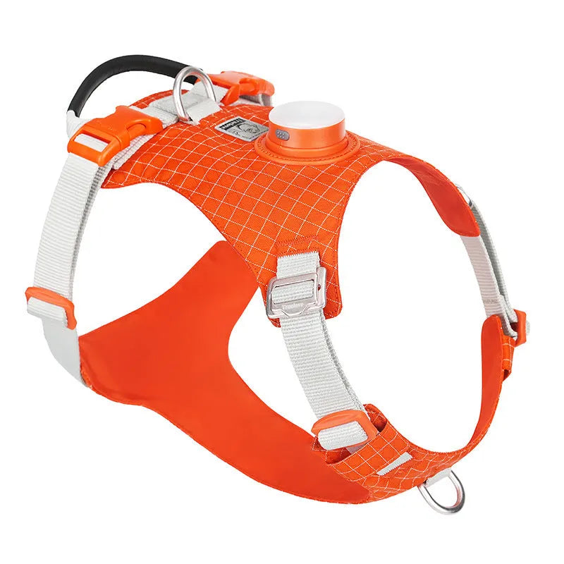 Nylon dog chest harness with LED light on a dog, shown in assorted colours including light purple, green, and black.