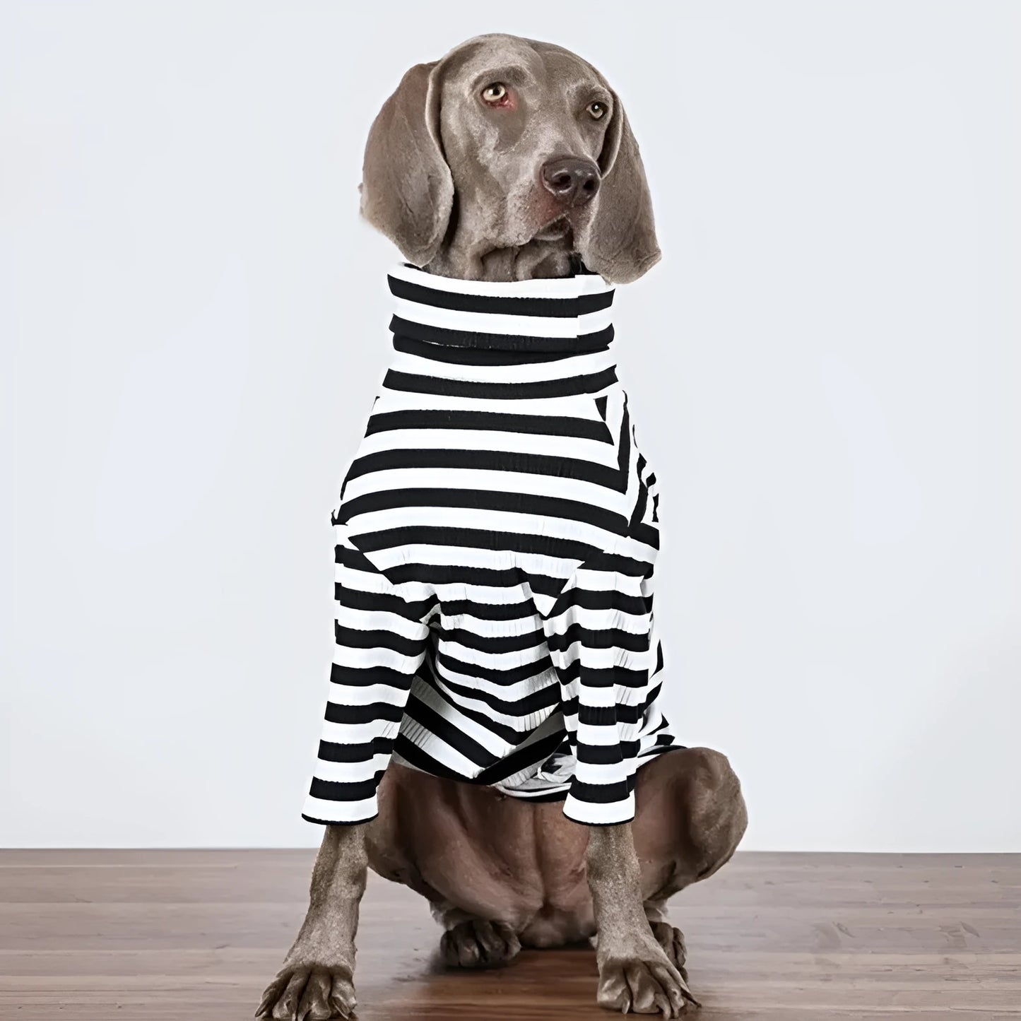 Black and white polyester dog clothing for large breeds in thin inner layer design