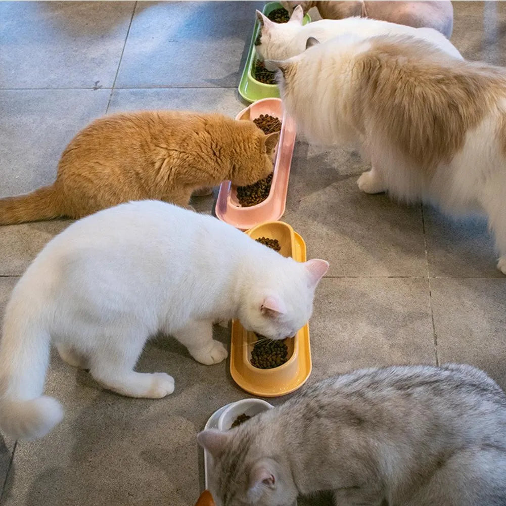 Green raised pet food and water bowls with non-slip leakproof bases for dogs and cats