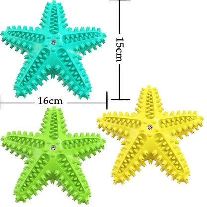 Blue edible TPR starfish dog chew toy with squeaker for large breeds.