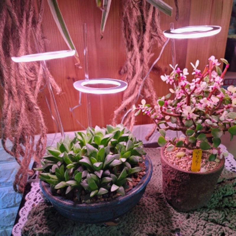 Full spectrum LED grow light with angel ring design for indoor plants, flowers, and seedlings