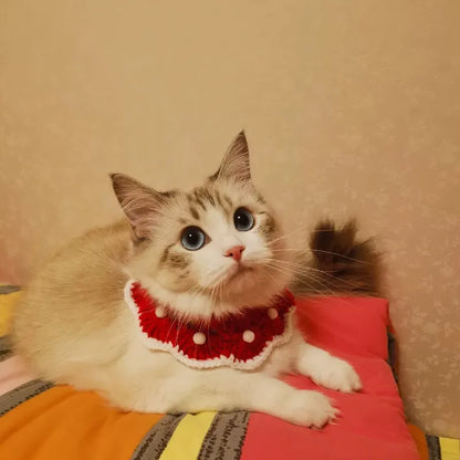 Cartoon-patterned knitted wool collar for small pets with size chart showing XS, S, M, L measurements
