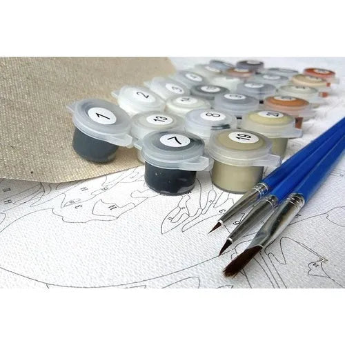 Scared or Surprised cat DIY paint by numbers kit with acrylic paints, canvas, and brushes.