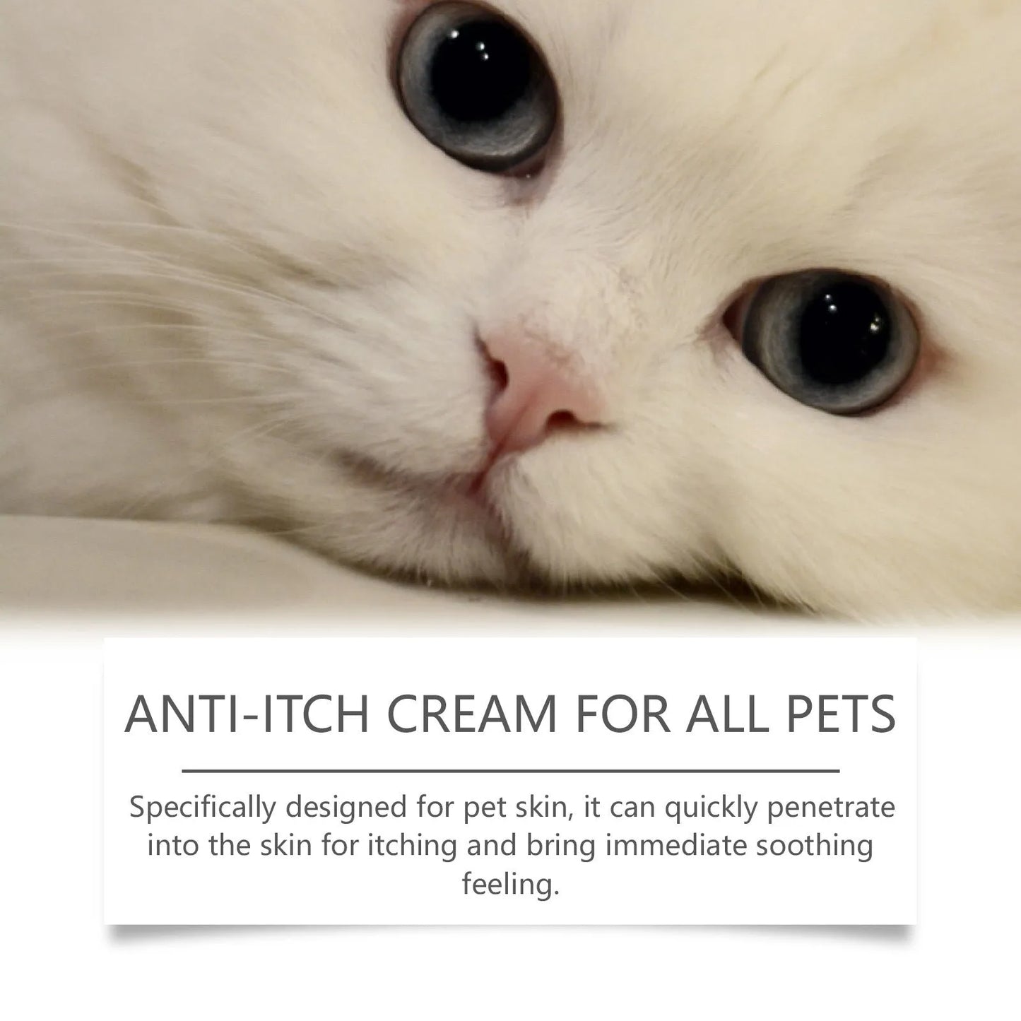 60g jar of natural pet antipruritic cream for cats with tea tree oil and aloe vera extracts.