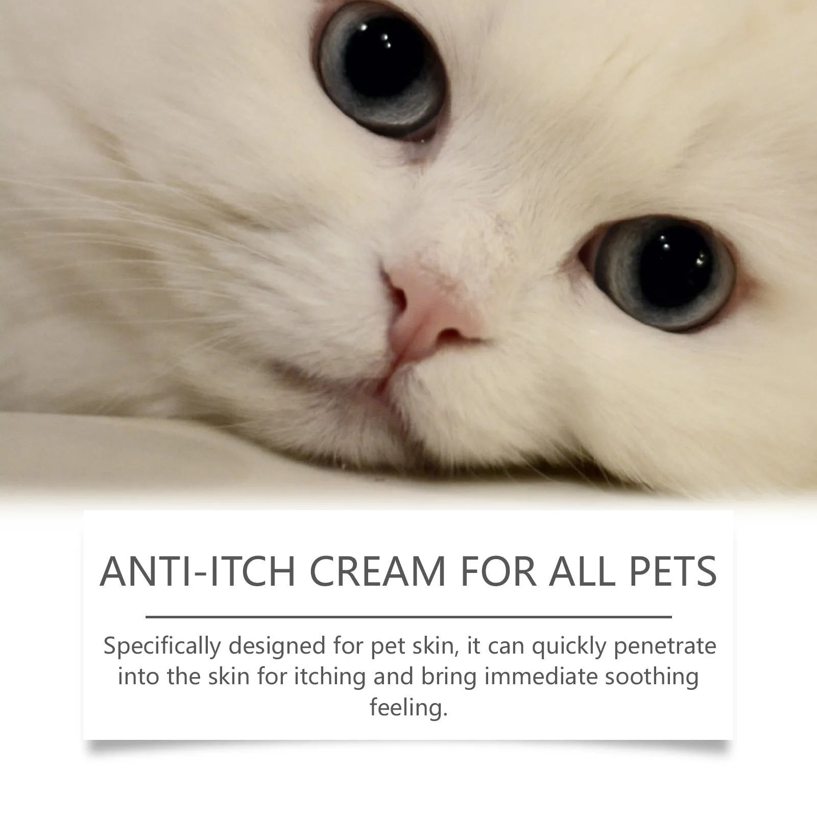 60g jar of natural pet antipruritic cream for cats with tea tree oil and aloe vera extracts.