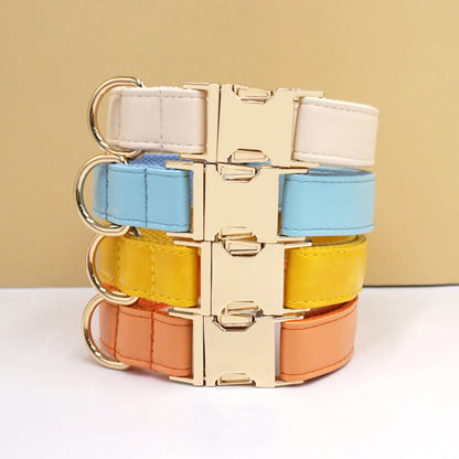 Velvet leather dog collar with colour block design showing buckle fastening in available colour options