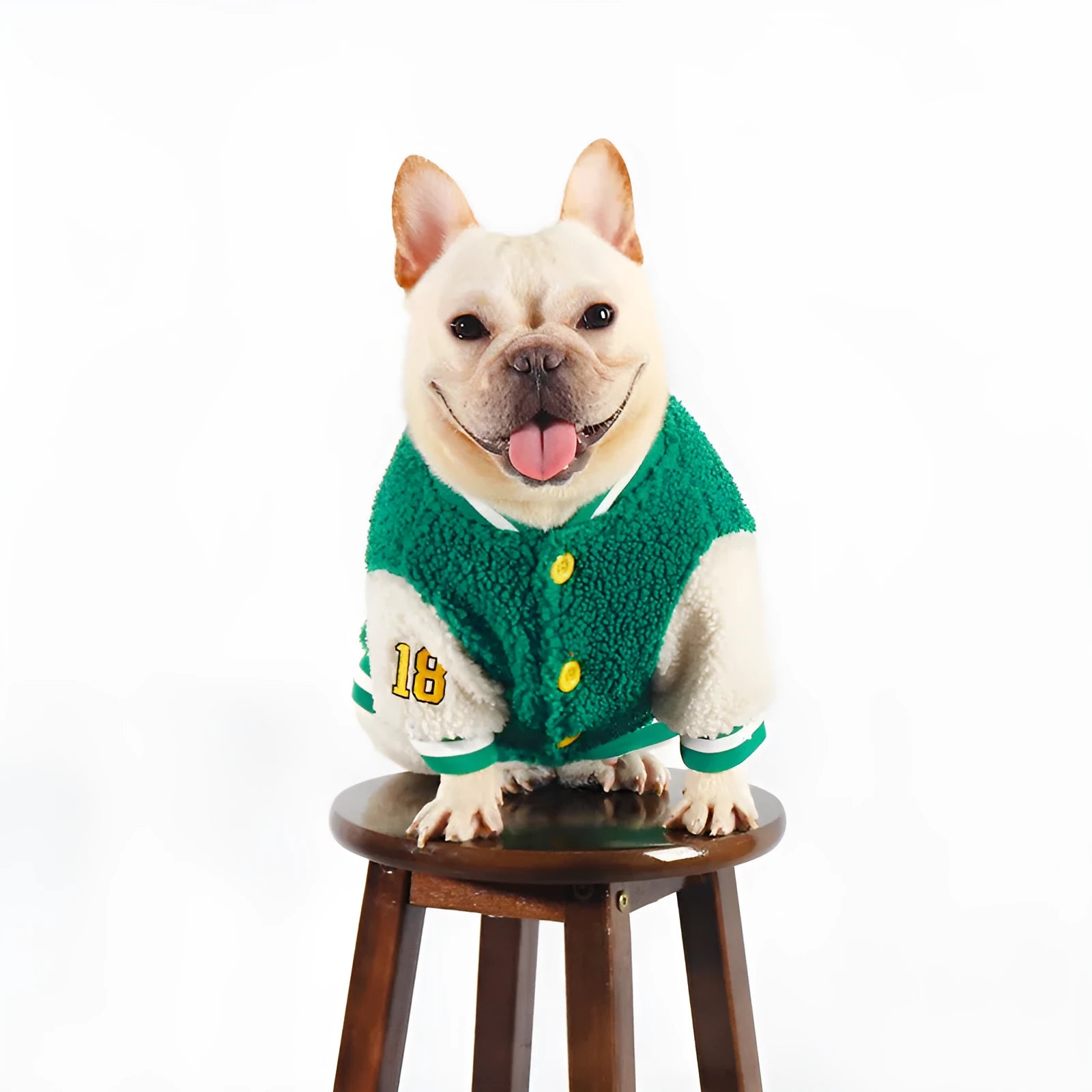 Green cotton dog winter coat with fleece lining, shown in a large size.