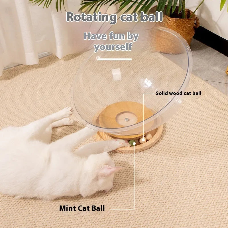 Transparent acrylic cat bath capsule enclosure with turntable base serving as pet bed