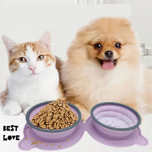 Foldable silicone double pet bowl with non-slip base in various colors