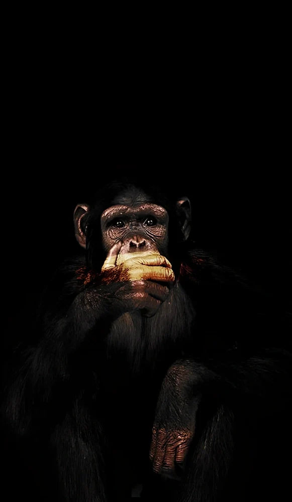 Abstract monkey spray painting on frameless canvas wall art modern decoration