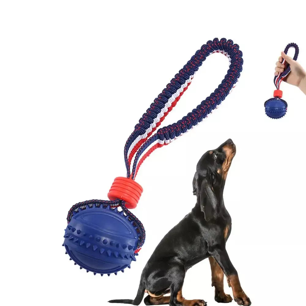 Interactive dog toy ball with rope for teeth cleaning and training