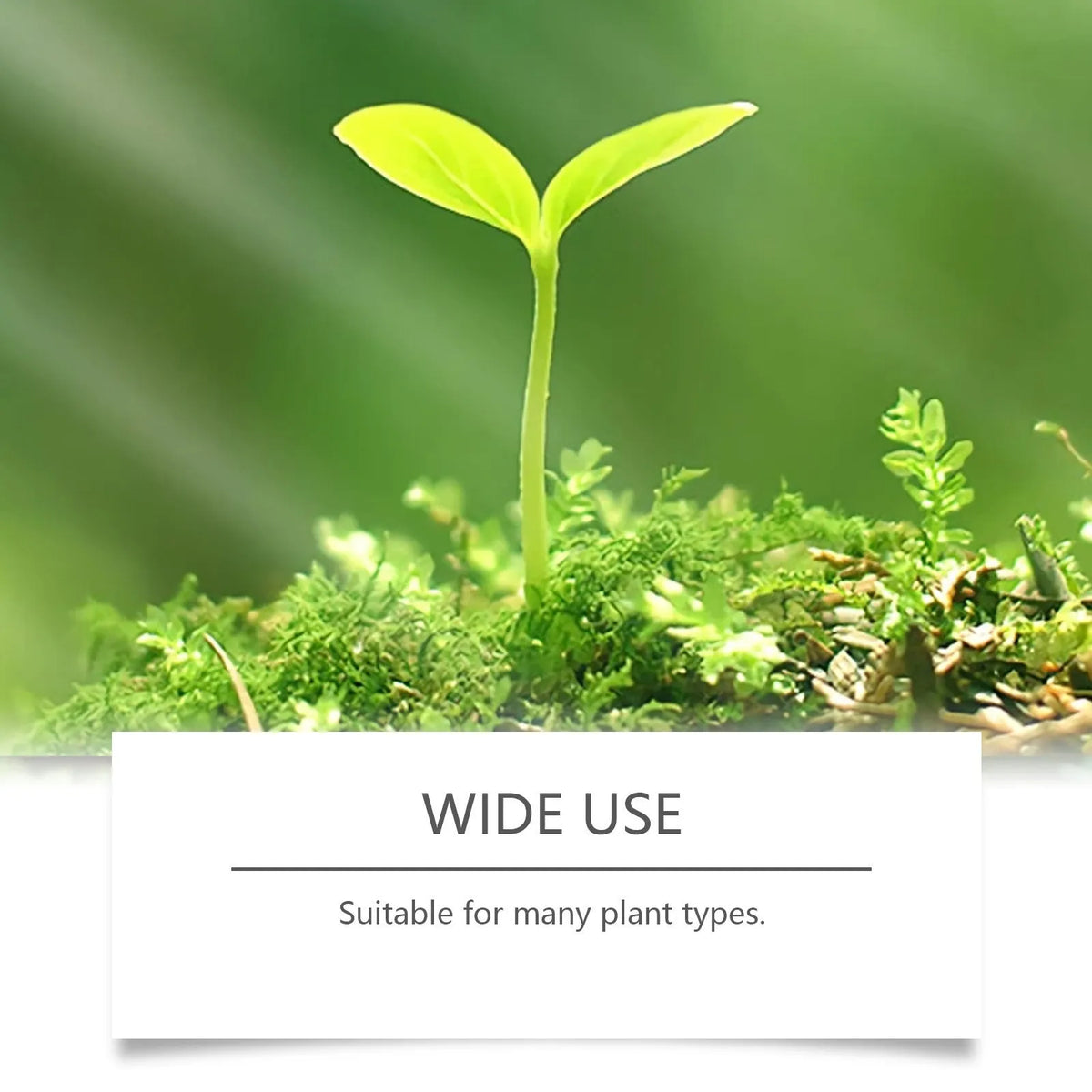 120ml plant nutrition spray bottle with liquid feed containing urea and potassium chloride