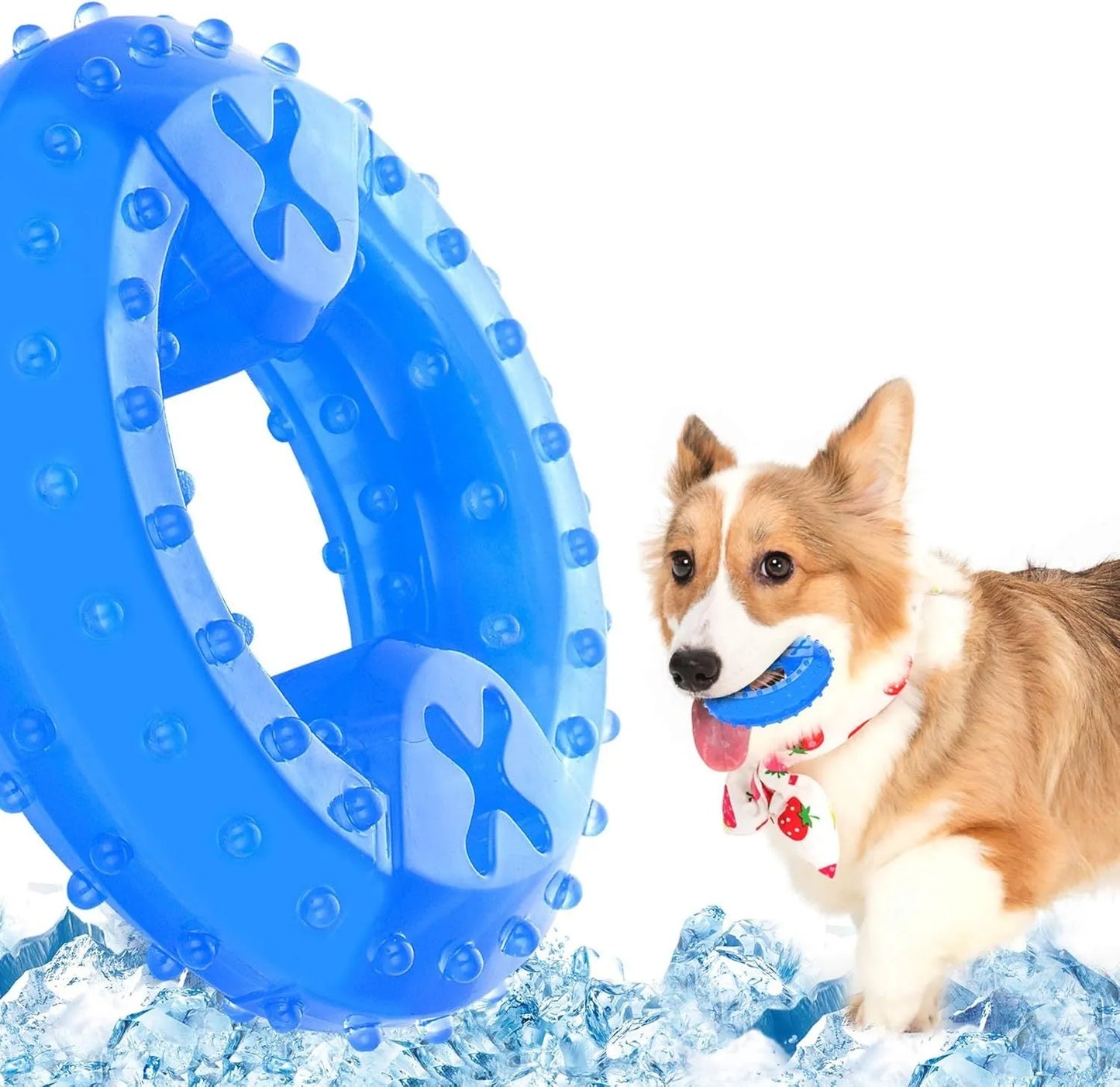 Blue bone-shaped dog teething toy with cooling function and treat compartment for puppies