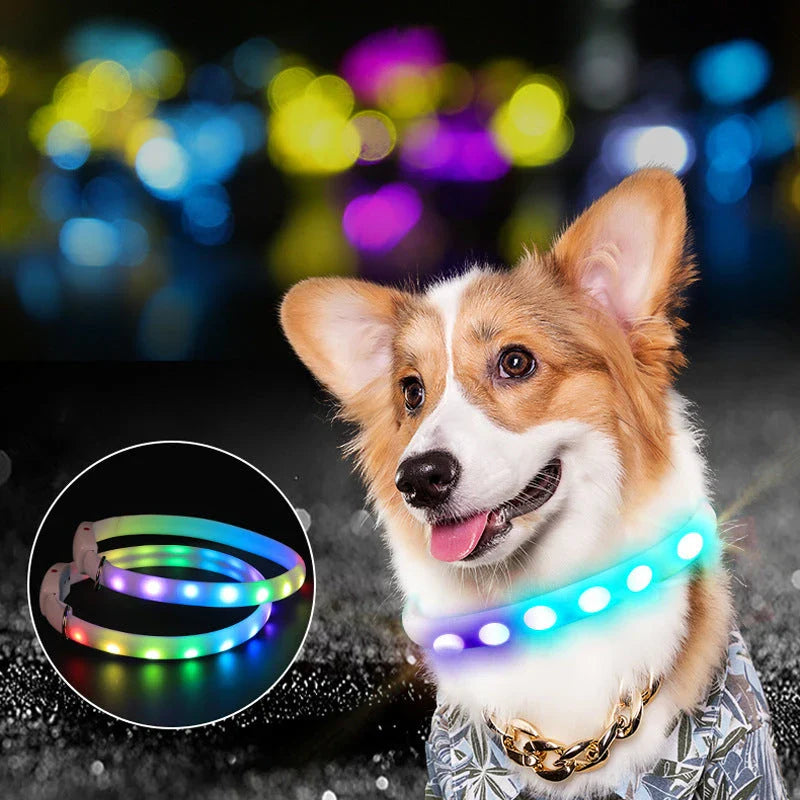 Bright LED pet collar with adjustable strap and ultra-visible lights for safe nighttime walks