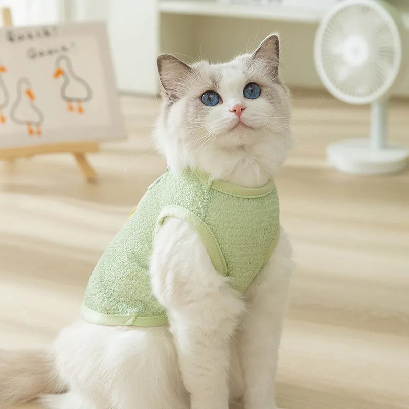 Green knitted cat clothing with a cartoon bear patch, showing hollowed-out breathable design.