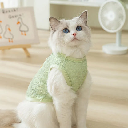 Green knitted cat clothing with a cartoon bear patch, showing hollowed-out breathable design.