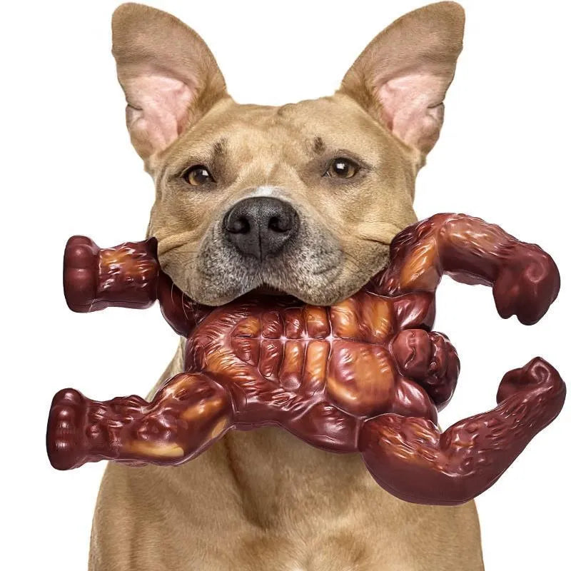 Scarlet nylon dog molar chewing toy with beef flavour, shown alongside dimensions
