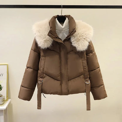 Women's short cotton-padded jacket with stand-up collar in claret, brown, black, or white colours