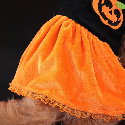 Halloween pet costume: orange pumpkin skirt and black Halloween sweater for small dogs and cats on a mannequin.