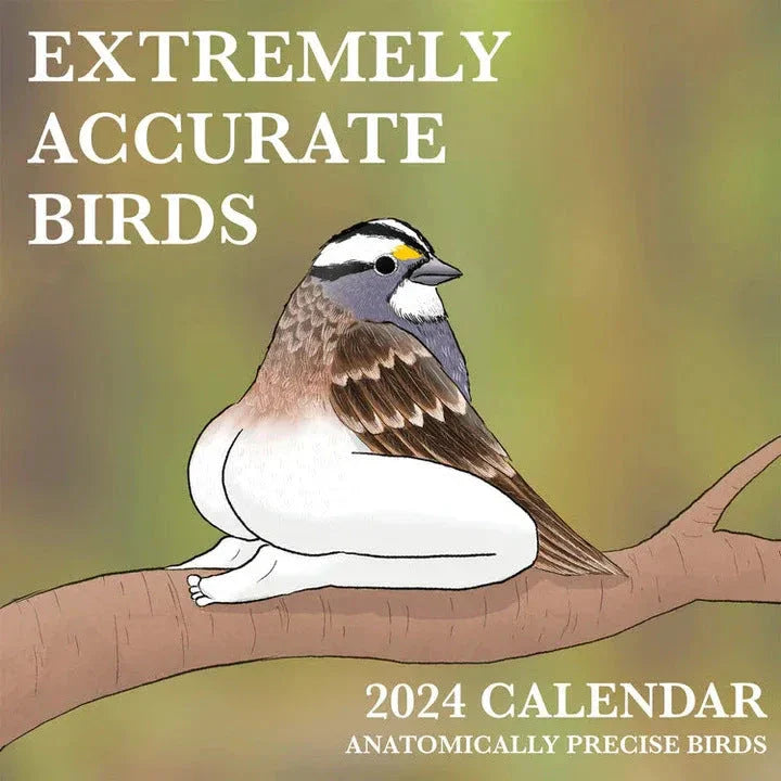 Elegant 2024 wall calendar featuring detailed illustrations of various bird species