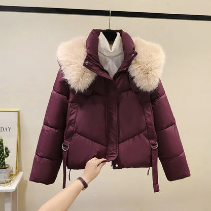 Women's short cotton-padded jacket with stand-up collar in claret, brown, black, or white colours