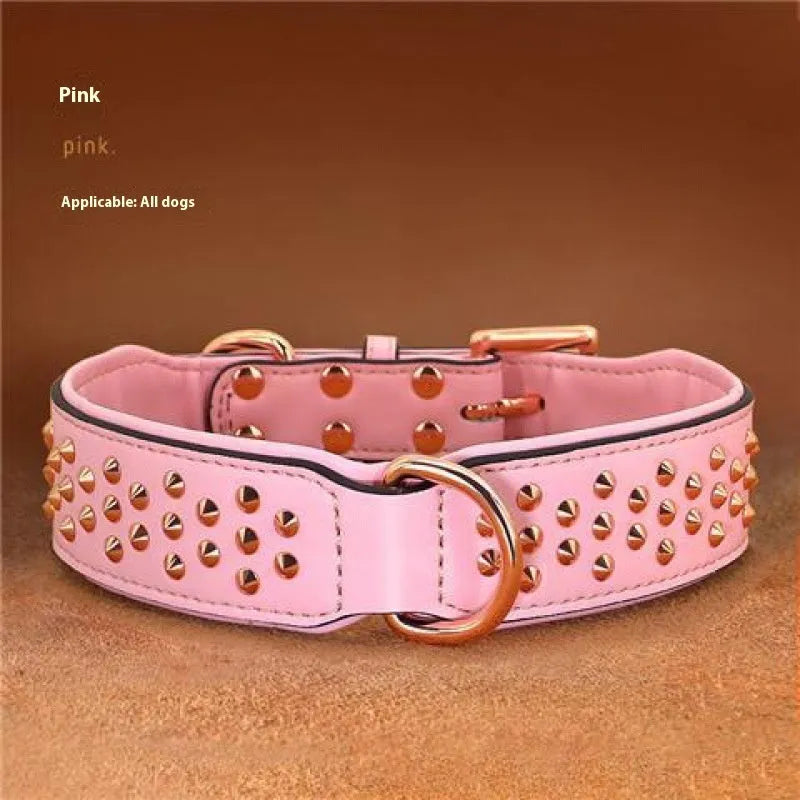 Leather dog collar with metal rivets in chocolate colour, showing rivet spacing and buckle detail