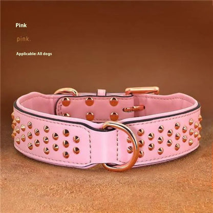 Leather dog collar with metal rivets in chocolate colour, showing rivet spacing and buckle detail
