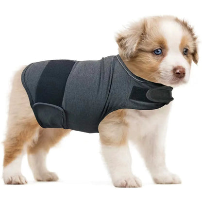 Dog wearing brocade cotton tank top for anxiety relief in brown colour