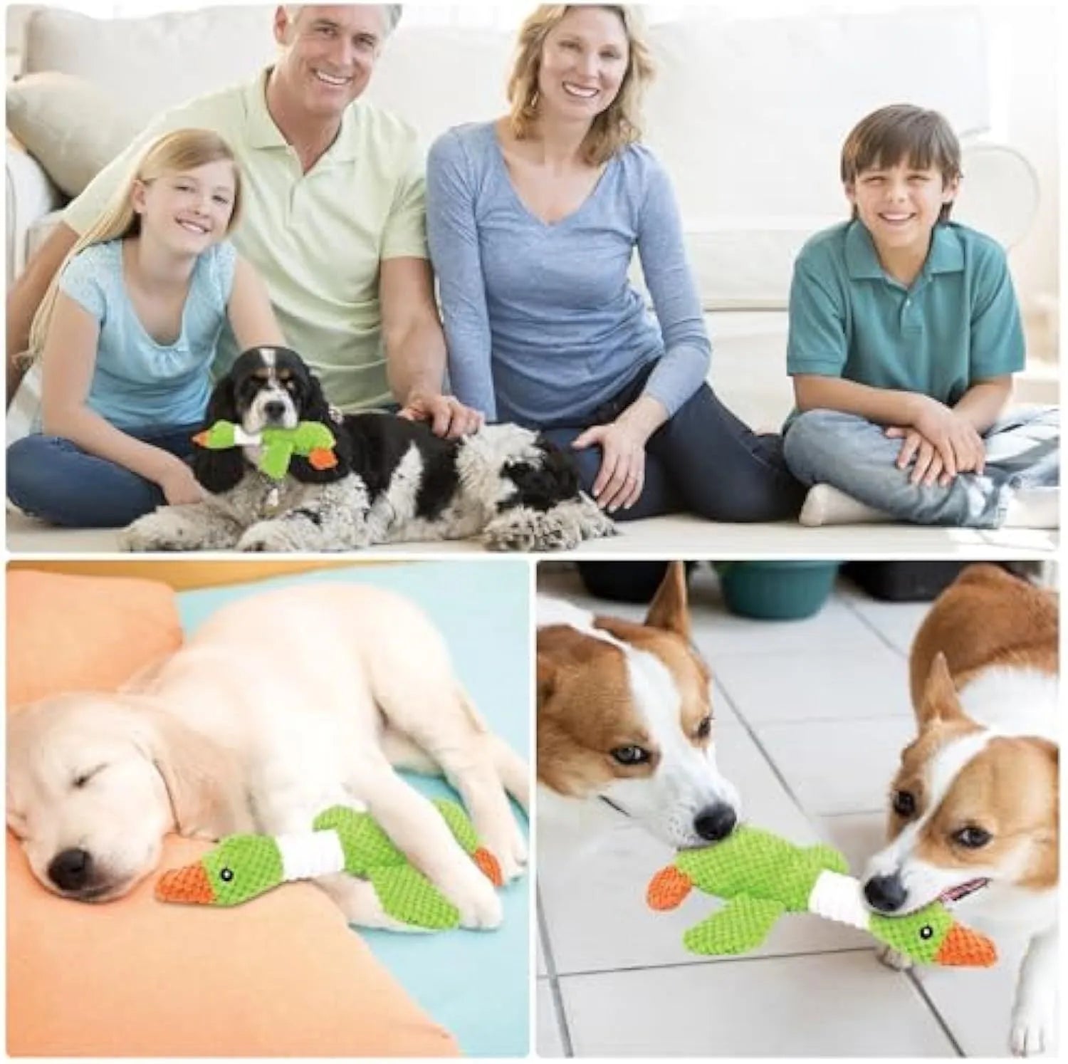 Blue plush duck dog toy with two squeakers, measuring 33 cm, for chewing and teeth cleaning