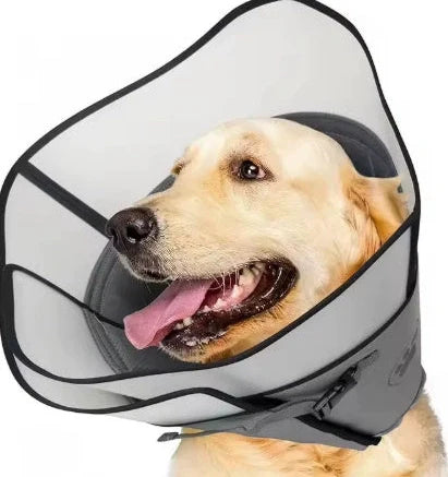 Adjustable pet sterilisation collar showing buckle closure and polyester material texture