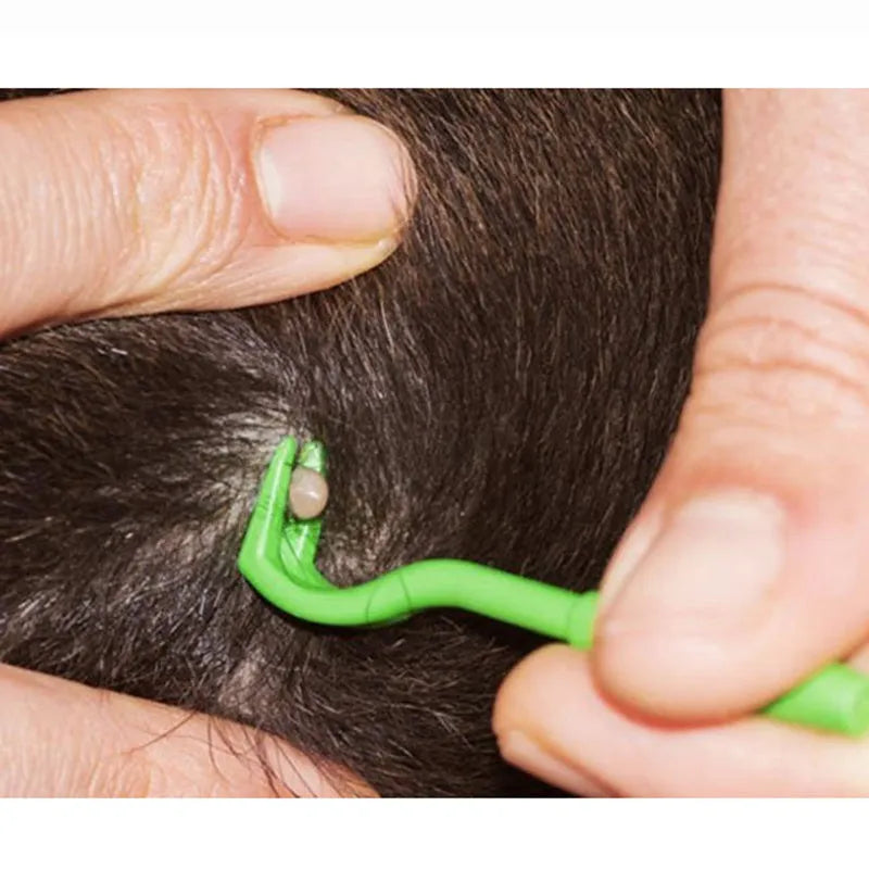 Three blue plastic tick removal hook tools for pets on a white background.