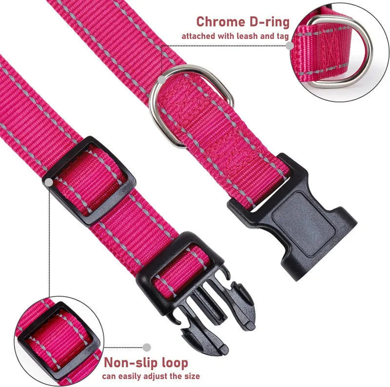 Adjustable nylon dog collar with chest strap in multiple colour options for secure walking