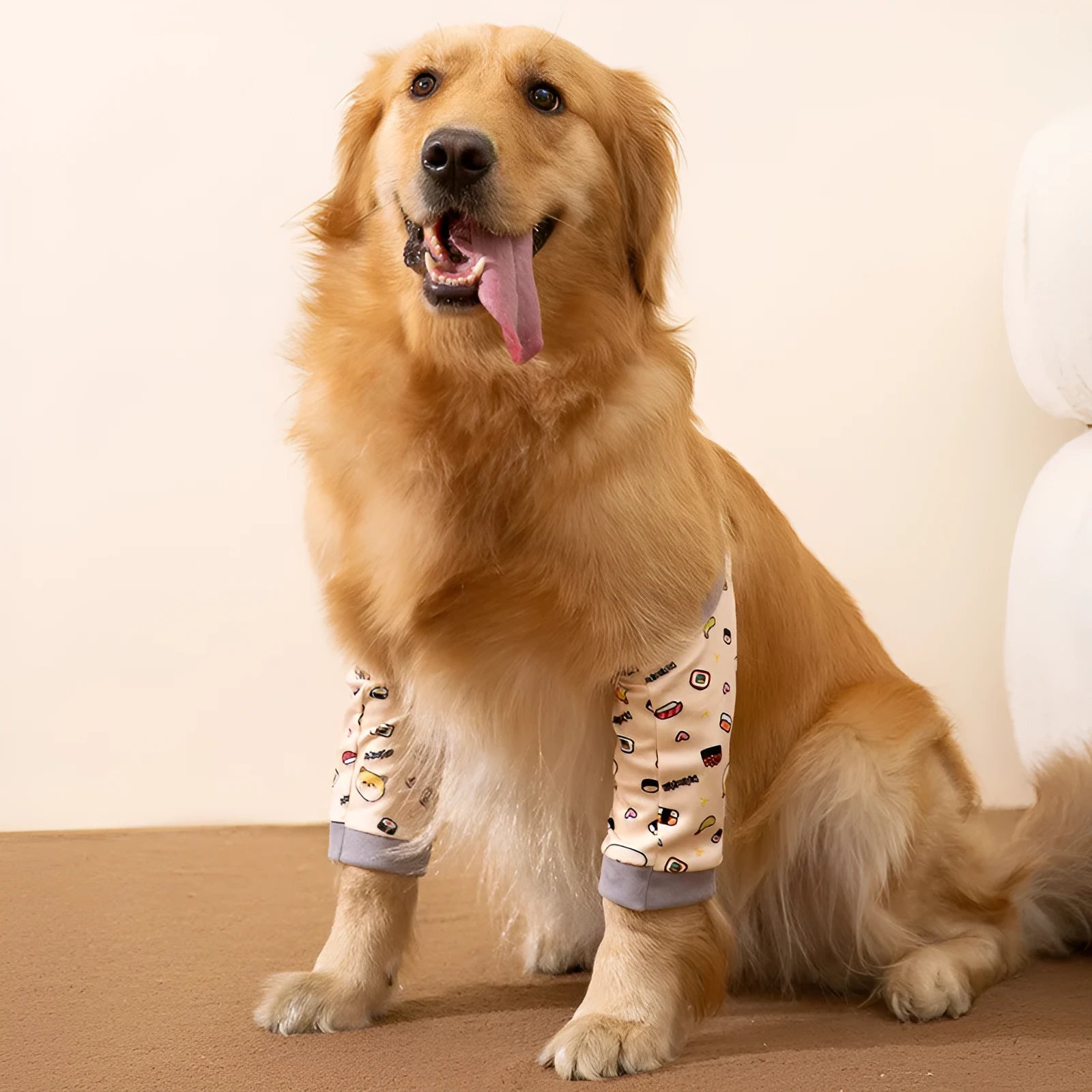 Blue dog knee protector sleeve with elbow padding and scarf on a medium-sized dog