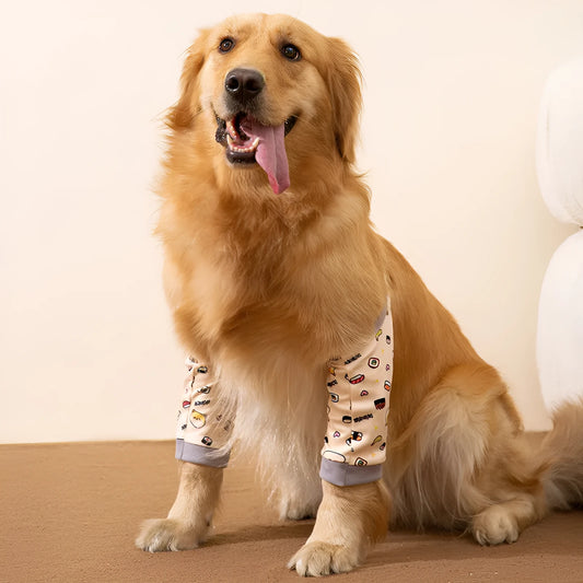 Blue dog knee protector sleeve with elbow padding and scarf on a medium-sized dog