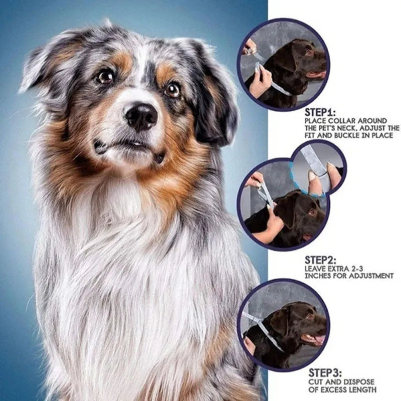 Rainbow plastic flea repellent collar for pets showing 38cm cat version and 62cm dog version
