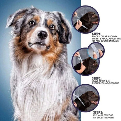 Rainbow plastic flea repellent collar for pets showing 38cm cat version and 62cm dog version