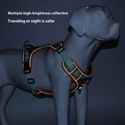 Orange dog harness with reflective strips and hand holding rope on a grassy background