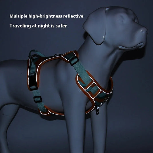 Orange dog harness with reflective strips and hand holding rope on a grassy background