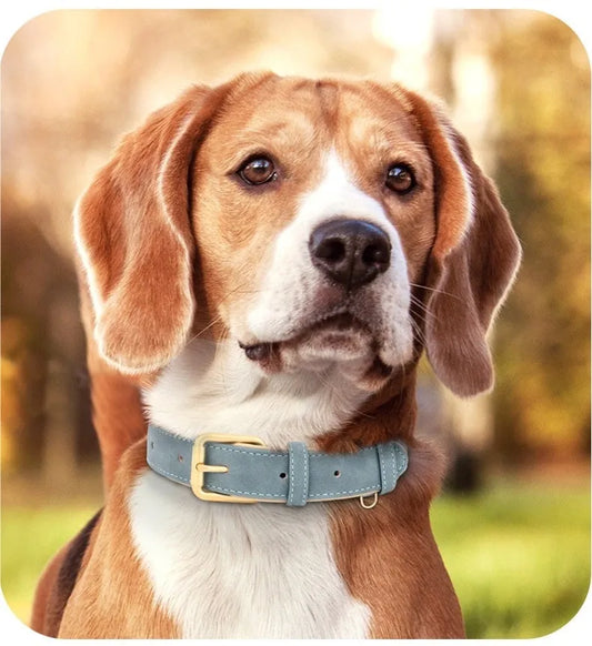 Double-layer leather dog collar with mohair lining in rose red, brown, or blue, adjustable for dogs 7-65 pounds, includes traction rope