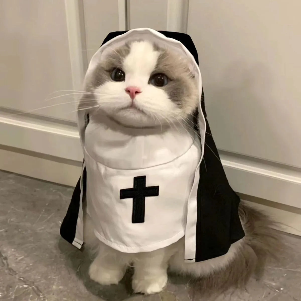 Black and white nun costume for small to medium dogs with pullover cloak design